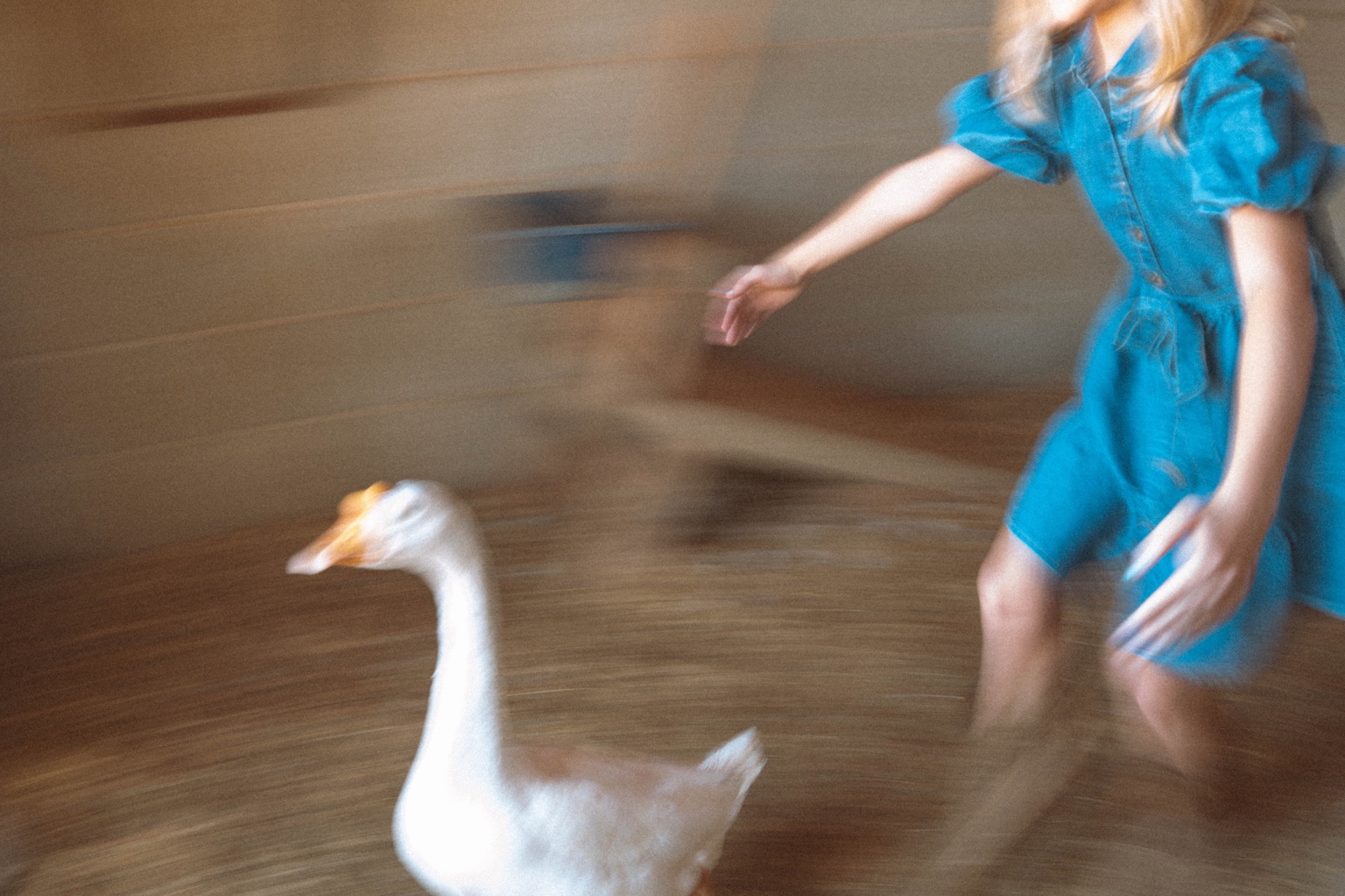 A girl running alongside Mother Goose